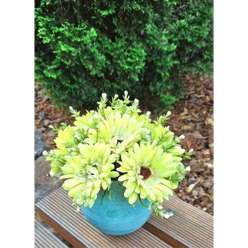 Bouquet artificiel Gerbera TEMBAR, vert-crème, 30cm, Ø22cm