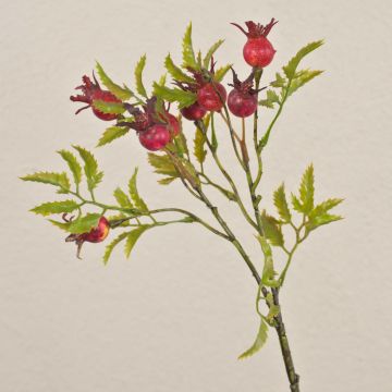Branche d'églantier artificielle VIVEKA avec des cynorrhodons, rouge, 50cm