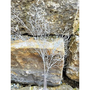 Branche de saule artificielle DONATELLA, argent, 70cm
