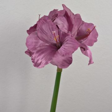 Fleur décorative Amaryllis MARANON, violet, 70cm, Ø19cm Fleur décorative Amaryllis MARANON, violet, 70cm, Ø19cm