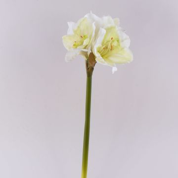 Fleur artificielle Amaryllis MARKUNO, crème-blanc, 65cm, Ø13cm Fleur artificielle Amaryllis MARKUNO, crème-blanc, 65cm, Ø13cm
