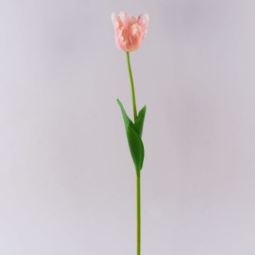 Tulipe perroquet artificielle PETSCHORA, abricot-rose, 65cm