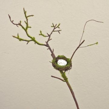 Branche de pommier décorative INDIKIRKA avec un nid d'oiseau, mousse, brun-vert, 75cm Branche de pommier décorative INDIKIRKA avec un nid d'oiseau, mousse, brun-vert, 75cm
