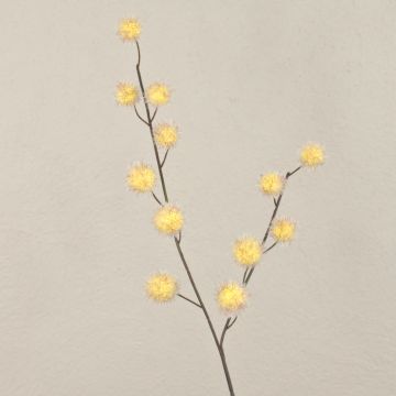 Branche décorative Gomphocarpus ELAENA, fruits, beige-violet, 100cm