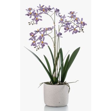 Orchidée Renanthera monachica décorative BLANI en pot en céramique, racines, violet-blanc-jaune, 55cm