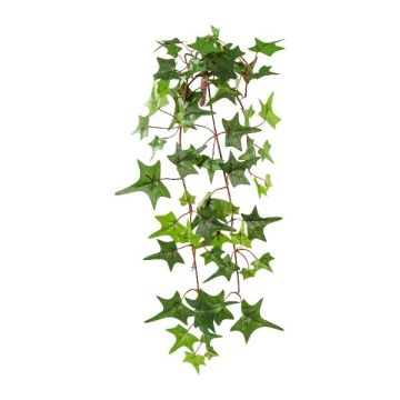 Plante décorative Suspension de lierre LIRMA, piquet, vert, 40cm Plante décorative Suspension de lierre LIRMA, piquet, vert, 40cm