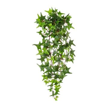 Plante décorative Suspension de lierre LIRMA, piquet, vert, 60cm Plante décorative Suspension de lierre LIRMA, piquet, vert, 60cm