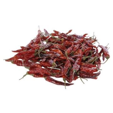 Fruits secs décoratifs Piments courts RÜDIGER, rouge, 4-8cm, 250g