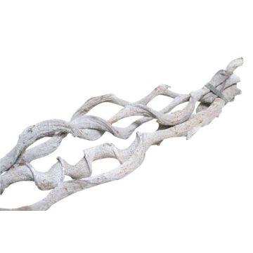 Botte de branches de vigne VINO, 5 pièces, blanchie à la chaux, 60cm, Ø2cm Botte de branches de vigne VINO, 5 pièces, blanchie à la chaux, 60cm, Ø2cm