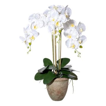 Orchidée Phalaenopsis artificielle FRIMTOR en pot en terre cuite, racines, blanc, 75cm