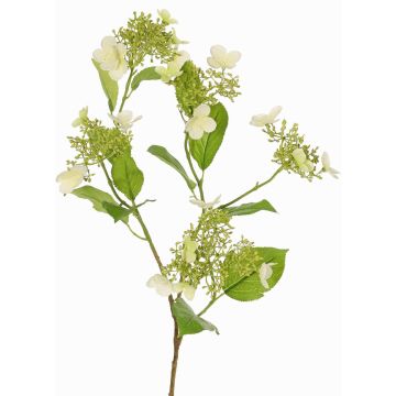 Branche d'hortensia artificielle KATHANI, blanc-vert, 80 cm, Ø 10-13 cm