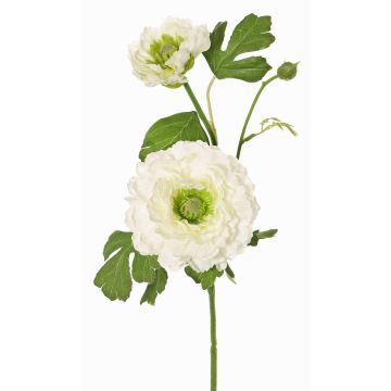 Branche de renoncule synthétique SAGARA, blanc-vert, 45cm, Ø5-9cm