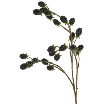 Rameau décoratif de mûre URUMA avec fruits, noire, 90cm