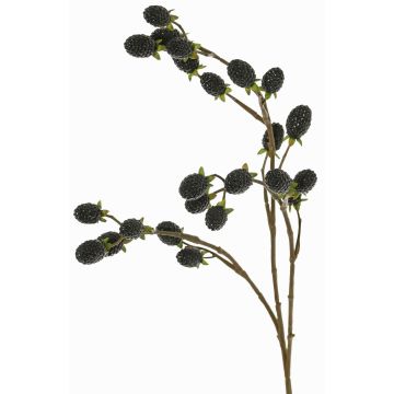 Rameau décoratif de mûre URUMA avec fruits, noire, 90cm Rameau décoratif de mûre URUMA avec fruits, noire, 90cm