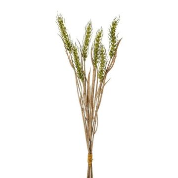 Botte de blé décorative TILPA avec épis, vert, 50cm Botte de blé décorative TILPA avec épis, vert, 50cm
