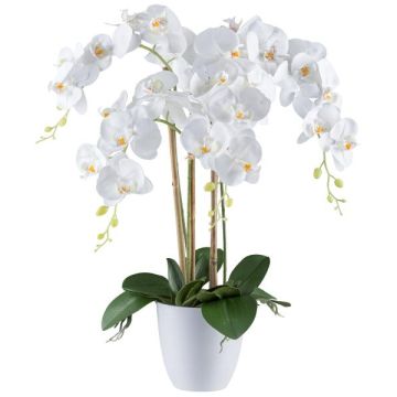 Orchidée Phalaenopsis artificielle BLENTOR dans un cache-pot en mélamine, racines, blanc, 60cm Orchidée Phalaenopsis artificielle BLENTOR dans un cache-pot en mélamine, racines, blanc, 60cm