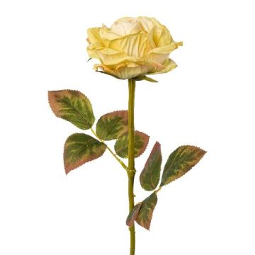 Fleur décorative Rose DRINT, vert-crème, 60cm, Ø10,5cm