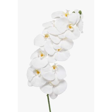 Branche d'orchidée Phalaenopsis artificielle XURI, blanche, 95 cm, Ø 12,5 cm