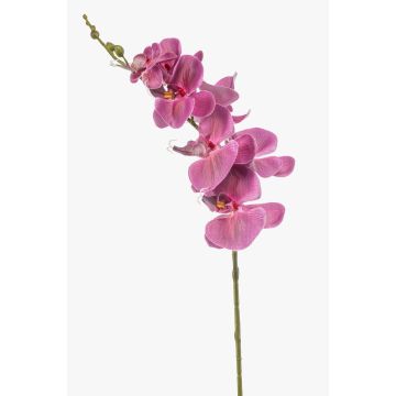 Branche d'orchidée Phalaenopsis artificielle AXELOR, rose, 85 cm