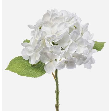 Hortensia synthétique EXORIN, blanc, 50cm, Ø17cm Hortensia synthétique EXORIN, blanc, 50cm, Ø17cm