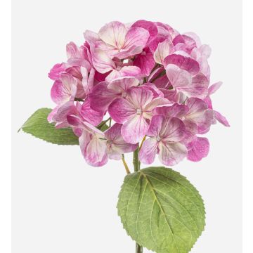 Hortensia synthétique EXORIN, rose, 50cm, Ø17cm Hortensia synthétique EXORIN, rose, 50cm, Ø17cm