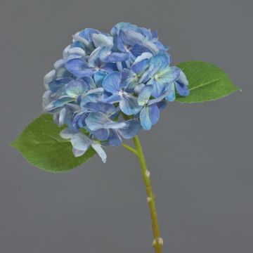 Hortensia synthétique EXORIN, bleu, 50cm, Ø17cm Hortensia synthétique EXORIN, bleu, 50cm, Ø17cm