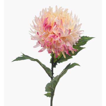 Chrysanthème synthétique SAXLER, rose-fuchsia-blanc, 60cm, Ø12cm Chrysanthème synthétique SAXLER, rose-fuchsia-blanc, 60cm, Ø12cm