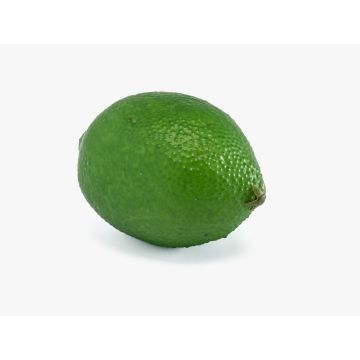 Fruit artificiel : citron vert NANGA, vert, 8,5 cm, Ø 6 cm