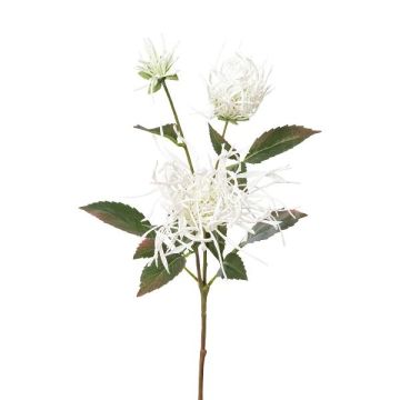 Branche de fleurs artificielles Chrysanthème MIRANE, blanc, 70cm Branche de fleurs artificielles Chrysanthème MIRANE, blanc, 70cm