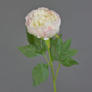 Fleur en plastique Pivoine SEDFY, rose, 60cm