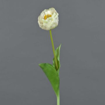 Fleur en plastique Tulipe LURANA, blanc, 55cm, Ø7cm Fleur en plastique Tulipe LURANA, blanc, 55cm, Ø7cm