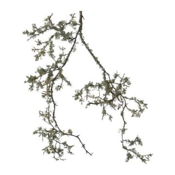 Branche de pommier décorative GLINTO avec des lichens, suspendu, gris-vert, 100cm Branche de pommier décorative GLINTO avec des lichens, suspendu, gris-vert, 100cm