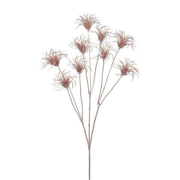 Graines de clématite décoratives HARWAY, or rose, 75cm, Ø7cm Graines de clématite décoratives HARWAY, or rose, 75cm, Ø7cm