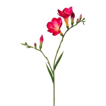 Branche artificielle Freesia FONDYL, fuchsia, 70cm