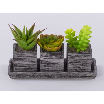 Composition de plantes succulentes artificielles SYLVIA dans des pots décoratifs, vert, 19x7,5x11cm