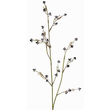 Branche artificielle de Stirlingia latifolia COLLAN, noir et blanc, 75 cm, Ø 1 cm Branche artificielle de Stirlingia latifolia COLLAN, noir et blanc, 75 cm, Ø 1 cm