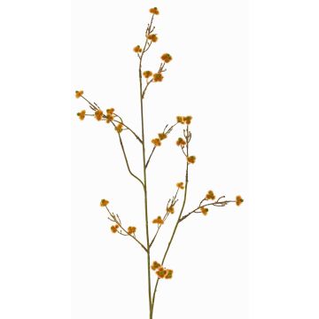Branche artificielle de Stirlingia latifolia COLLAN, orange-vert, 75 cm, Ø 1 cm Branche artificielle de Stirlingia latifolia COLLAN, orange-vert, 75 cm, Ø 1 cm