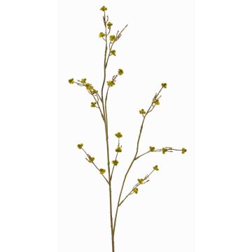 Branche artificielle de Stirlingia latifolia COLLAN, jaune-vert, 75 cm, Ø 1 cm Branche artificielle de Stirlingia latifolia COLLAN, jaune-vert, 75 cm, Ø 1 cm