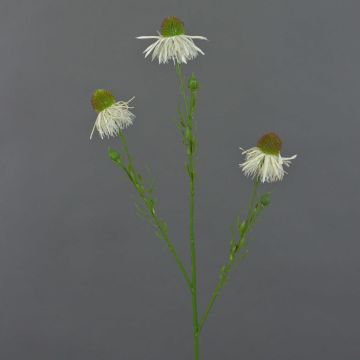 Branche artificielle de rudbeckie CELIO, crème, 70 cm, Ø 6-7 cm