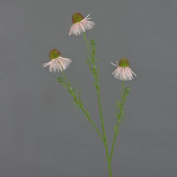 Branche de rudbeckie artificielle CELIO, rose, 70cm, Ø6-7cm Branche de rudbeckie artificielle CELIO, rose, 70cm, Ø6-7cm