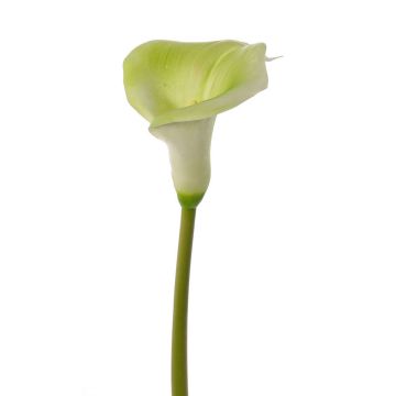 Calla artificielle MIRAC, vert-blanc, 75 cm, 12 x 15 cm