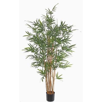 Bambou artificiel LUCINE, tiges naturelles, crossdoor, 170cm Bambou artificiel LUCINE, tiges naturelles, crossdoor, 170cm