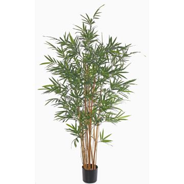 Bambou artificiel LUCINE, tiges naturelles, crossdoor, 230cm Bambou artificiel LUCINE, tiges naturelles, crossdoor, 230cm