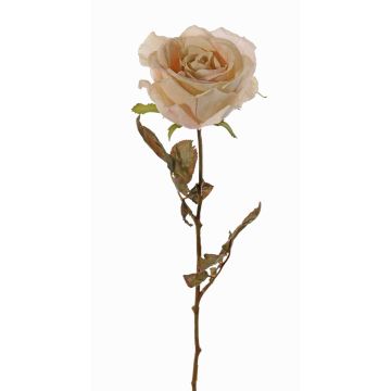 Rose artificielle NAJMA, aspect séché, crème-rose, 65cm, Ø10cm Rose artificielle NAJMA, aspect séché, crème-rose, 65cm, Ø10cm