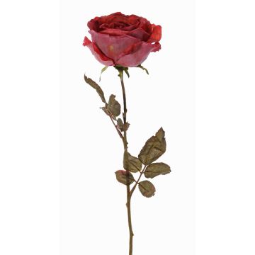 Rose artificielle NAJMA, aspect séché, vieux rouge-violet, 65cm, Ø10cm Rose artificielle NAJMA, aspect séché, vieux rouge-violet, 65cm, Ø10cm