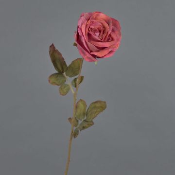 Rose artificielle NAJMA, aspect séché, rouge-violet vieilli, 65 cm, Ø 10 cm Rose artificielle NAJMA, aspect séché, rouge-violet vieilli, 65 cm, Ø 10 cm