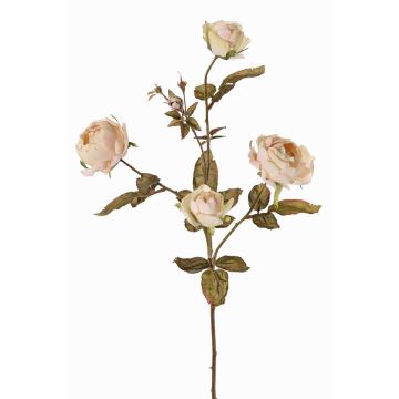 Branche de roses artificielles SITARA, aspect séché, crème-rose, 75cm, Ø5-8cm Branche de roses artificielles SITARA, aspect séché, crème-rose, 75cm, Ø5-8cm