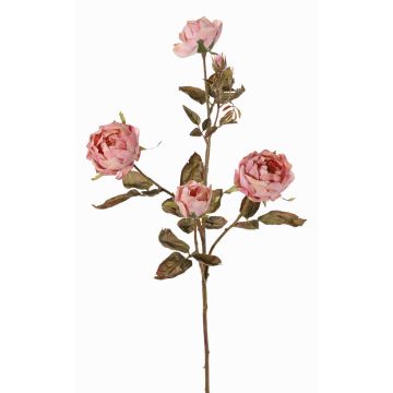 Branche de roses artificielles SITARA, aspect séché, vieux rose, 75cm, Ø5-8cm
