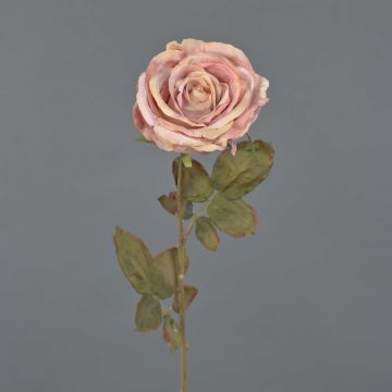 Rose artificielle NAJMA, aspect séché, vieux rose, 65 cm, Ø 10 cm Rose artificielle NAJMA, aspect séché, vieux rose, 65 cm, Ø 10 cm