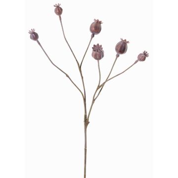 Branche de capsules de pavot artificielle ASUMAN, marron, 70cm, Ø2-3cm Branche de capsules de pavot artificielle ASUMAN, marron, 70cm, Ø2-3cm